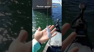 If they&rsquo;re fired up, you can sometimes double up #simonsaysher #howto #flutterspoon #bassfishing