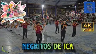 Negritos de Ica / Ica / Juan Pablo II ( Peru Cultura Viva 2026 )