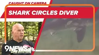 ON CAM: Scary Shark Moment on Vacation Dive