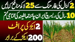 G1 Garlic Farming | 25 Lakh Per Acre | Lasan Ki Kasht Ka Business in Pakistan by businesszon