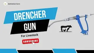 Goat and Sheep Drenching Gun 30 ml capacity 9745979898