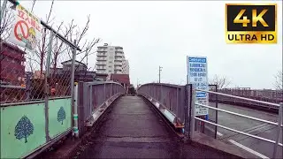 [4K] A Soothing Stroll Through a Japanese Residential Area on a Rainy Day Niigata Aoyama