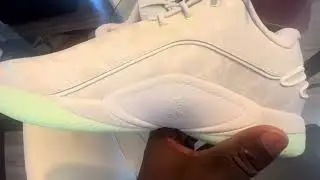 Lebron 22 dunk man 