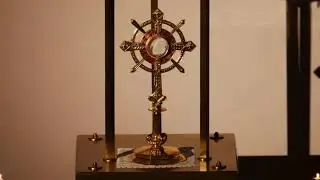 Shrine Live Stream - 18th January 2026 - Sunday Mass