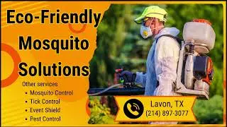 Eco Friendly Mosquito Solutions Lavon, TX