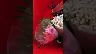 The Plastic Flower Review 2024 #fuuny #gamingvideos #asmrsounds #beauty #flowers #worldcup#latestn