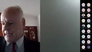 La Consulta Judicial de Constitucionalidad
