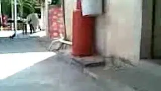 Jona skate