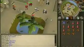 Runescape Dharok Max Hits