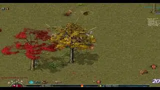 Mystic Ring Quest - Conquer Global