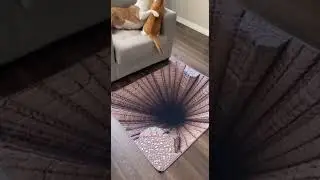 Fake Hole Carpet Looks Too Real#trending #viral #short #dog #cat