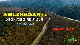 Amlekhganj's Hidden Forest & Wildlife | Drone View | Exploring Nepal's Green Heart
