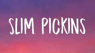 Sabrina Carpenter - Slim Pickins (Lyrics)
