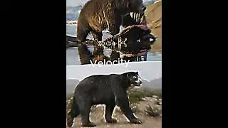 Cave Bear vs Arctotherium augustidens #shorts