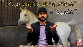 Horse Stable and Farm best ideas || Horses farmhouse | How we can built our horse paddocks khabardan