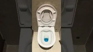 Laufen Pro Floorstanding Toilet
