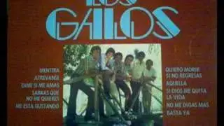 LOS GALOS....REGRESO A LA ESPOSA TRISTE