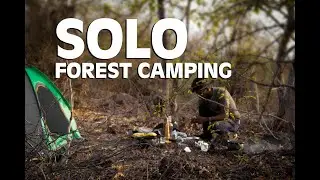 Solo forest camping and cooking । Tea making in forest | solo camping