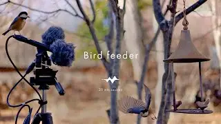 25/5 min Pomodoro | Bird Feeder: Gamelan Mix [SIDE-A] - 32-bit thinking tool