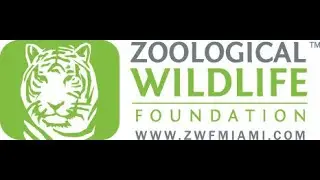 Concierge Confidential: Maria Tabraue from the Zoological Wildlife Foundation