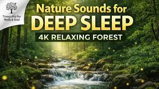 Nature Sounds for Deep Sleep 🌿 Naturger&auml;usche zum Einschlafen ✨ 4K Relaxing Forest
