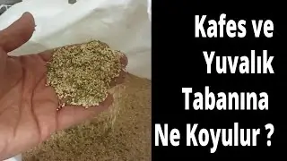 Kafes Kuşlarında Taban Malzemesi Olarak Ne Kullanılır ?