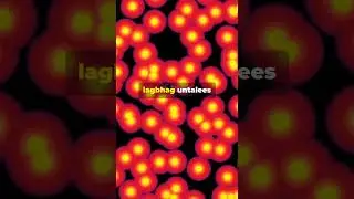 5 Amazing Facts That Will Shock You 😲 #interestingstuff #fascinated #interestingpeople #bighistory
