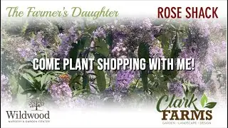 Come Plant Shopping at 4 Garden Centers in Rhode Island! 🪴 (Some rare finds!)