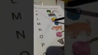 KG1 Capital letters match with picture
