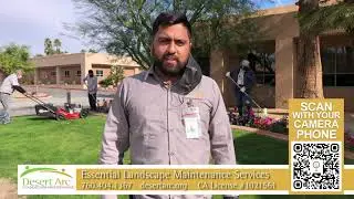 Desert Arc Essential Business Services Landscape