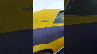 AMC Javelin Project Car with backwards fish scale paint 🤔😲🤩☺️#amc #projectcar #javelin