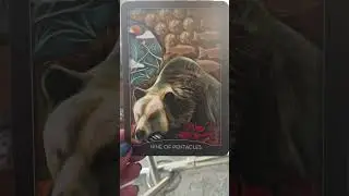 What does 9 of pentacles mean in tarot
