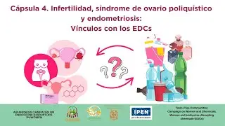 Capsula 4: Infertilidad, Sx Ovario poliquístico y otros efectos de los disruptores hormonales.