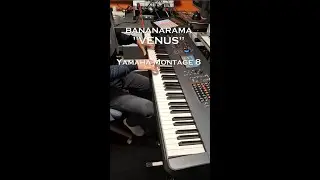 Bananarama 