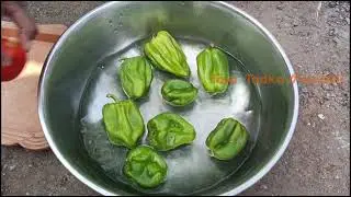 गावरान स्टाईल शिमला  | Village Style Shimla Mirchi on Wood Fire | Calm Silent Cooking Experience