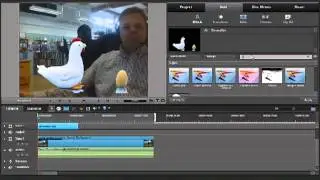 Premiere Elements Green Screen
