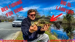 BED Fishing for BASS from THE BANK!! (Tips and Tricks)