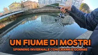 🔴 NATALE IN FIUME - TROTE E GROSSI CAVEDANI A LIGHT 