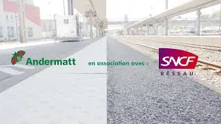 Dévitalisant contre l’ailante glanduleux  - premières applications - Andermatt France & SNCF