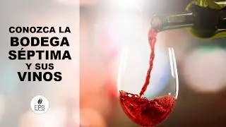 Conozca la Bodega S&eacute;ptima y sus vinos