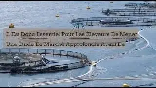 L'&eacute;levage de poisson est rentable en Afrique ?