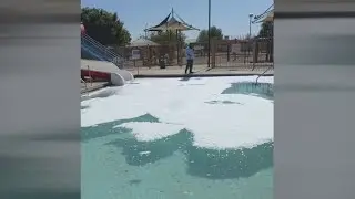Vandals poured laundry detergent into baby pool in Phoenix: officials