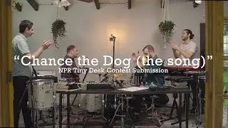The Kraken Quartet - Chance the Dog (the song) - NPR Tiny Desk 2020