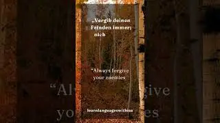 Learn German with Quotes!🇩🇪 6/28