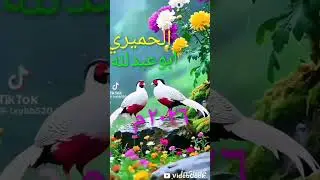 ٥ يناير ٢٠٢٦