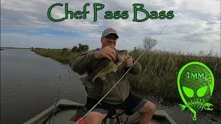 Chef Pass Bass