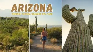 LE SUD DE L'ARIZONA EN VAN ! (PHOENIX, TUCSON, SAGUARO) | 26 STATES TOUR (EP.10)