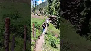 Machil Valley 🏡#machilvalley #nature #travel #mountains #love #lifeisbutadream #hindisong