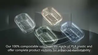 disposable plastic container for food,Disposable Cups,biodegradable container,Chinese supplier,Good