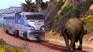 A big Elephant try to stop Train VFX video